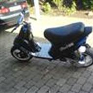 Bramm (Evo Stalker) t