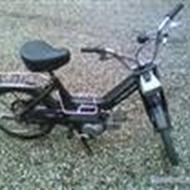 Team 5762 - Lunder™ .