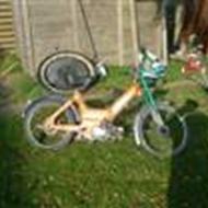 # Patrick # TEAMSÆBY (:.  n