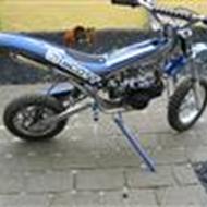 $ Mark [Team 9560] $