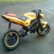 | Team Steoide • alco rubbe • | k