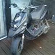 team-night-rider(bws) a