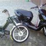 Mikkel"team Sonic riders" .