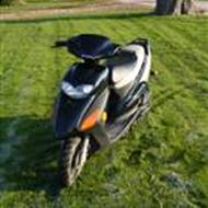  ¤ GSE - | - Löchte  ¤