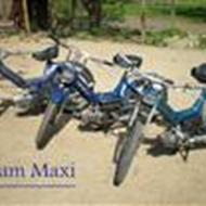 Nicolai <team maxi> .