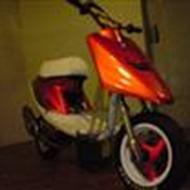 # Kevin | Jog TS T7 LC #