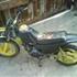 nicky m