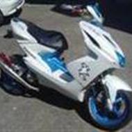 klavs (polini smed) m