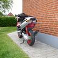 Dan << De hå` knejte >>  D