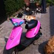 Ham På Joggen! :D ¤