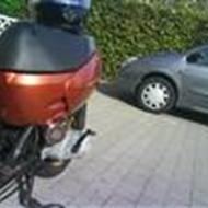 RavnHoldt - Team Hjørring *