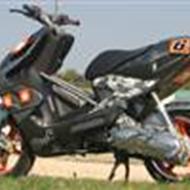 T€@M [Fuld Spjæld]®'Thomas'  m