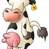 [Nedergaard] Polini Maxi .