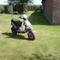 Jesper t