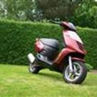 <Team Hulvej>  ¤ $onic ¤