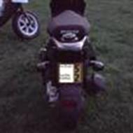 Team Skank - M.Sunberg .