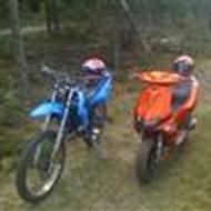 <Gøg og gokkes værksted>(Gokke)  