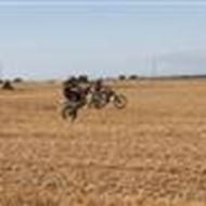 TeamBD - MarcoPiil  .