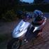 ¤¤ Linnebjerg ¤