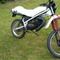 vitus d