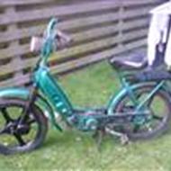 team øffe (høne) n