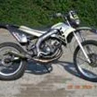 ¤*'*¤_Team Fuldskrald_¤*'*¤...Tim... $