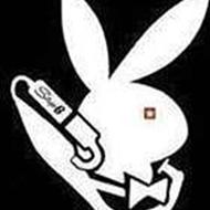 // TEAM GSG // phibs c