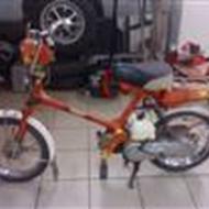 *Team SES* Bruntse  #