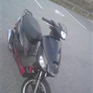 # TeamHvidovre - L E N N A R T  #