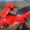 Gilera Runner pgo Trex B