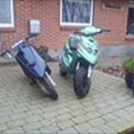 Thomas Pank ''JogRox upcomming''  .