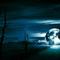 ¤team 4700¤ TPT jog ac N