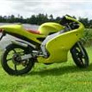 Dan kaalund b