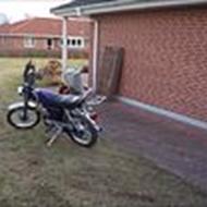 .....::::::teamspritter::::::::..... s