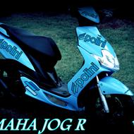 Team (A.C.A.B) 100%