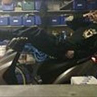 Team Vej Træ    Nicky ;