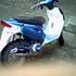 tonni s