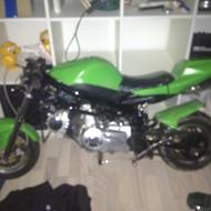 Team 2hornyboyswithahot50andachinapocketbike!