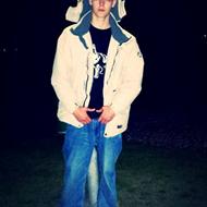 Sander H