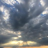 Matias Krause-kjær H