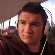 -{Team NæbDyr}- NoiZeX