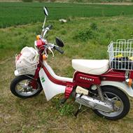 fz50coolcat