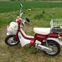 fz50coolcat