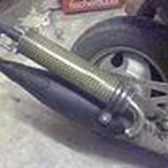 4270~Infected Miv Miv ~