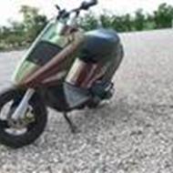 $$$.....((kongen)).....$$$ .