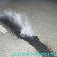 laantefjer [] team Scooted  