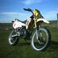 Fisker Team Voldum !