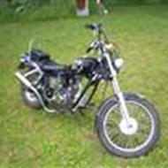 René (([ Team VM ])) Z