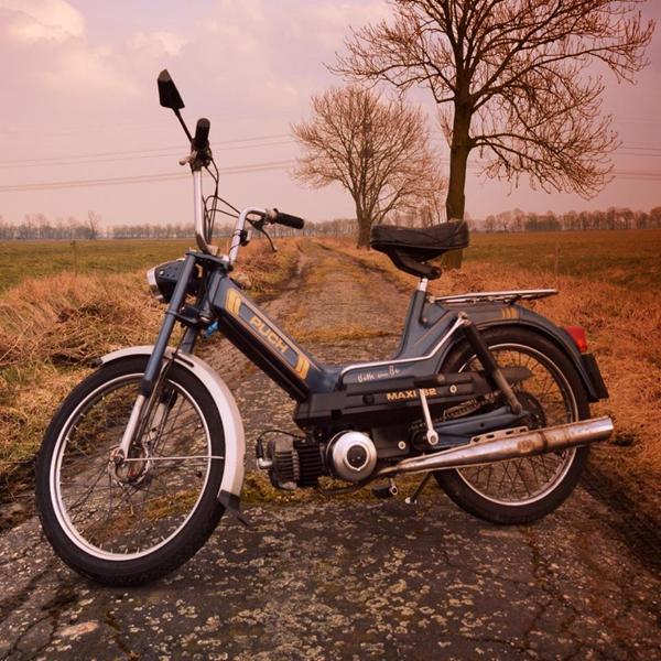 Puch maxi model 