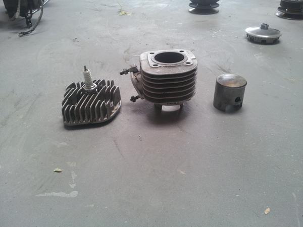 Hvilken polini er dette?